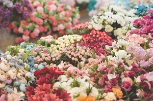 arranged variety of flowers